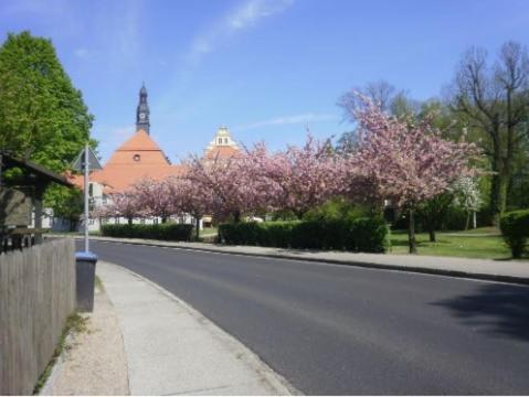 Altes Gaertnerhaus Apartment Lübben Екстериор снимка